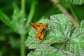 21 06 13_4008_edited-2